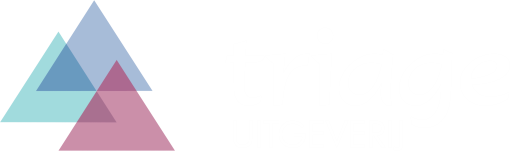 Uitgeverij Triage